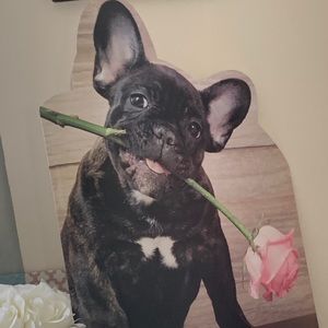 Meet your Posher, Iris